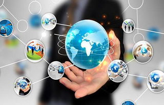 物聯(lián)網(wǎng)技術(shù)與應(yīng)用專業(yè) 網(wǎng)絡(luò)技術(shù)服務(wù)的關(guān)鍵角色與前景